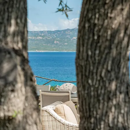 Andrea Luxury In